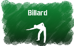 Billard icon